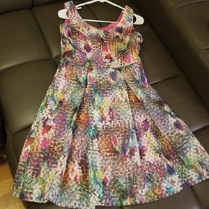 Ladies Multi-Colored Spring Dress